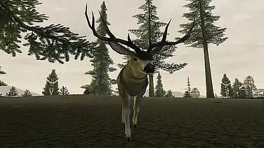 Deer Hunter 2005
