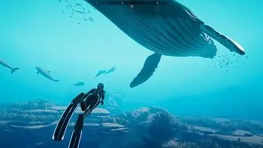 Beyond Blue
