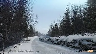 Sebastien Loeb Rally EVO