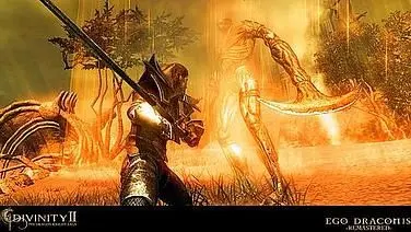 Divinity II: The Dragon Knight Saga