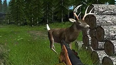 Deer Drive