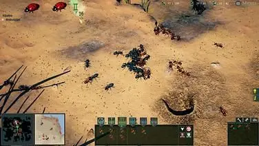 Empires of the Undergrowth