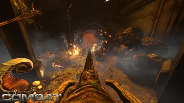 NS2: Combat