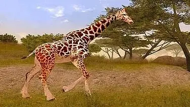 Cabela's African Safari