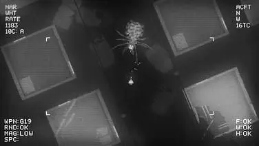 Noct