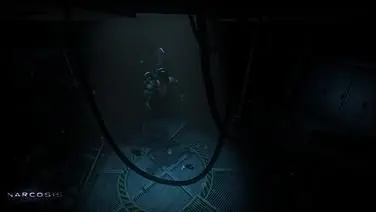 Narcosis