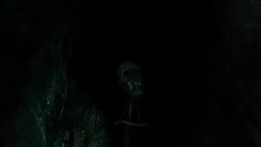 The Forest