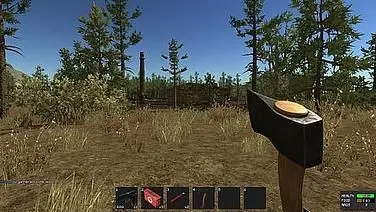 Rust