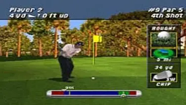 Tiger Woods PGA Tour 2001