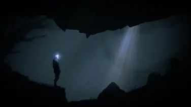 The Fall