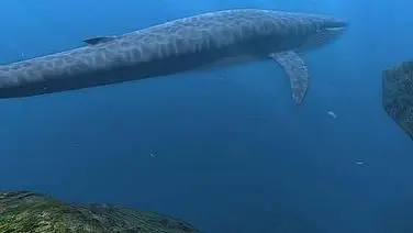 Diver: Deep Water Adventures