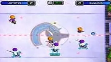 Backyard Hockey