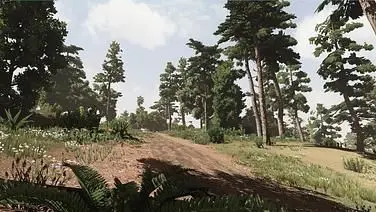 Romero's Aftermath