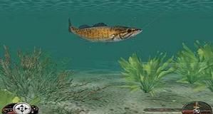 In-Fisherman: Freshwater Trophies