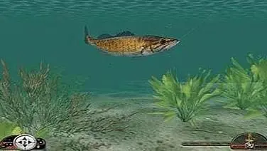 In-Fisherman: Freshwater Trophies