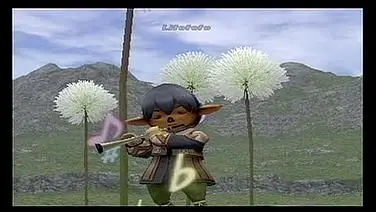 Final Fantasy XI Online