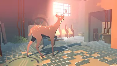 Way To The Woods