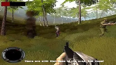 Vietnam: the Tet Offensive