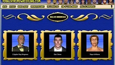 Total Extreme Wrestling 2010