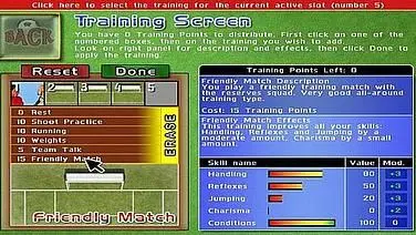 The Goalkeeper