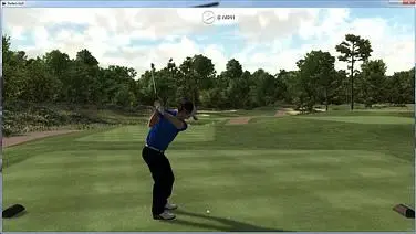 Perfect Golf