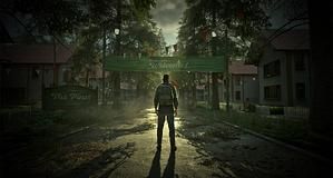 The Pines