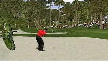 Tiger Woods 99 PGA Tour Golf