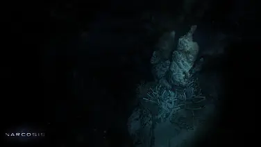 A Taste of Narcosis
