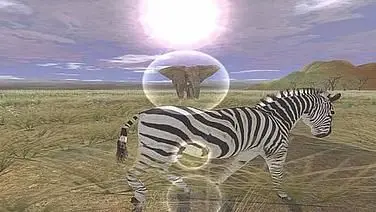 Wild Earth