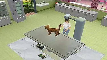 Animal Hospital: Pet Vet 3D