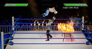 Chikara: Action Arcade Wrestling