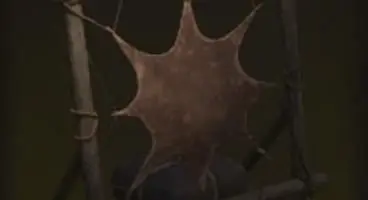 Guides / What Can You Do with the Tanning Rack in Wartales?