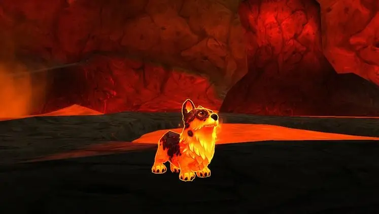 Blizzare prepare celebrations for World of Warcraft's 10 year anniversary