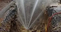 Modern Warfare 2 springs XBLA leak