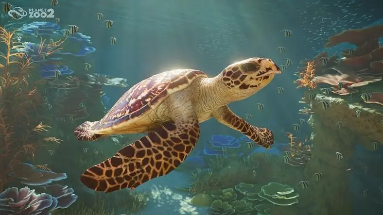 Planet Zoo 2 Release Date (Confirmed October 2026) - Platforms, Pre-Orders & Trailers