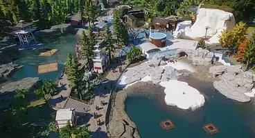 Planet Zoo: Aquatic Pack DLC Adds King Penguins, Deep Swimming and More Next Week