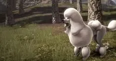 Lionhead releases Fable III dog DLC, three new breeds for hero