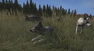 Upcoming Day Z update adding predatory animals
