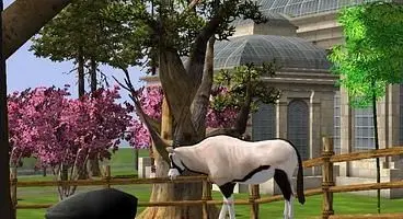 Overall, the zoo god experience can be fulfilling, knowing that you are in control of everything alive in the picture.