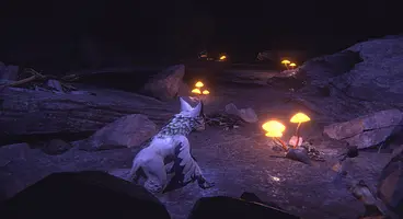 Split And Control Both Light And Dark In Embers of Mirrim