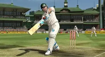 Jiminy Cricket! It's…well, cricket.