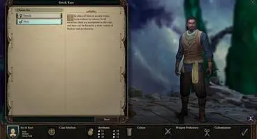 Pillars of Eternity 2: Deadfire - Character Creation