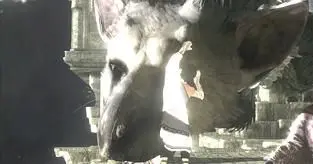 Sony Santa Monica "not helping out" The Last Guardian, unsure how rumour began