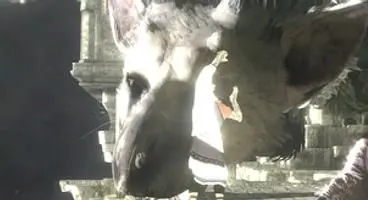 Sony Santa Monica "not helping out" The Last Guardian, unsure how rumour began