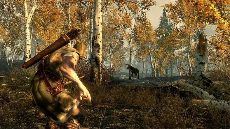 Bethesda's Howard not interested in Elder Scrolls MMO