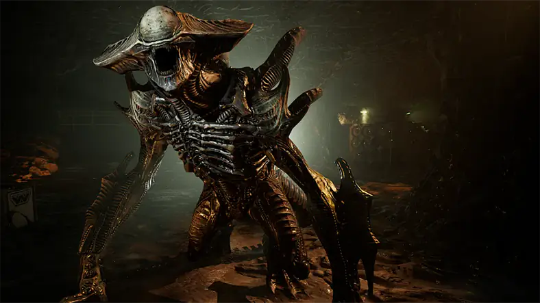 Enemies / Warden