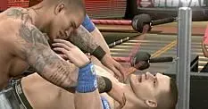 E3 2010: 'WWE All Stars' up THQ sleeve?