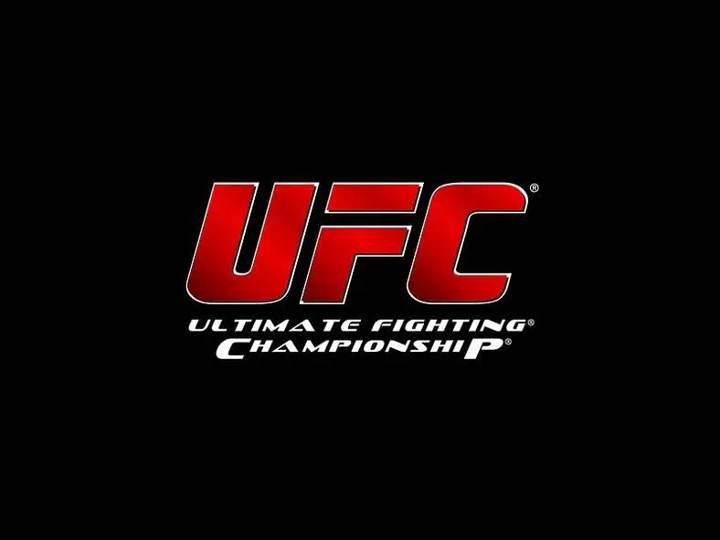 E3 2012: EA gets exclusive rights to UFC license