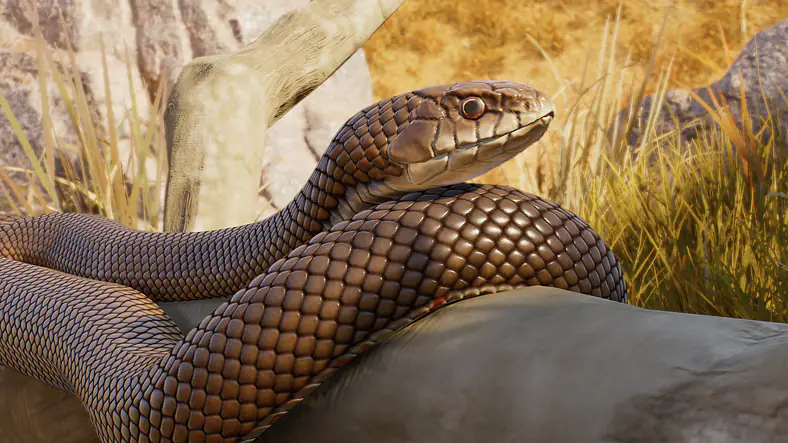 Eastern Brown Snake