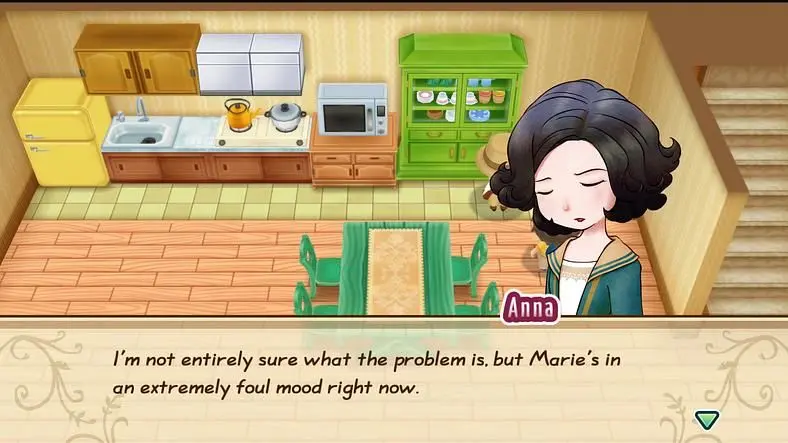 STORY OF SEASONS: Friends of Mineral Town Marriage Guide
